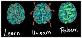 3 verschillende breinen. Een heeft linken met geleerd, ontleren en herleren.